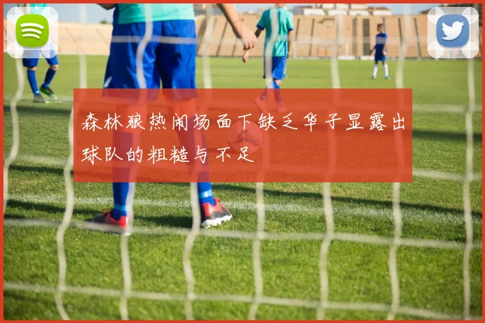森林狼热闹场面下缺乏华子显露出球队的粗糙与不足