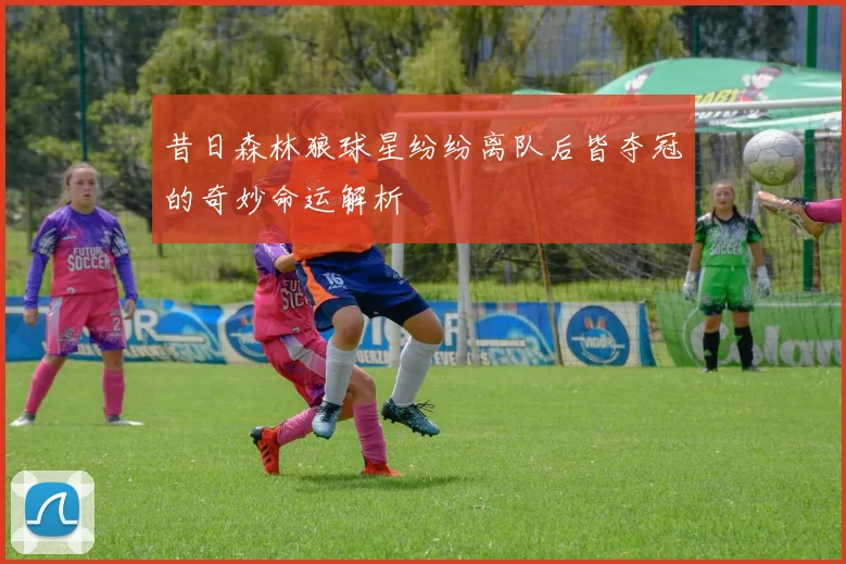 昔日森林狼球星纷纷离队后皆夺冠的奇妙命运解析
